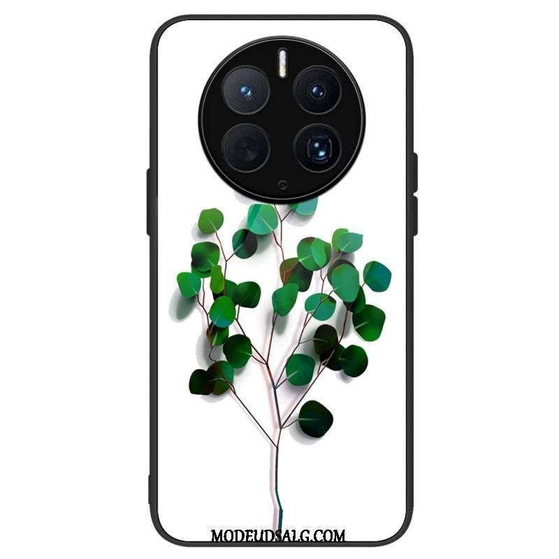 Cover Huawei Mate 50 Pro Vegetabilsk Hærdet Glas