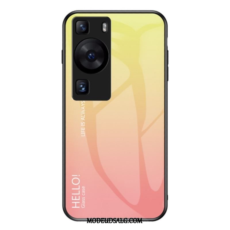 Cover Huawei P60 Pro Hej Hærdet Glas