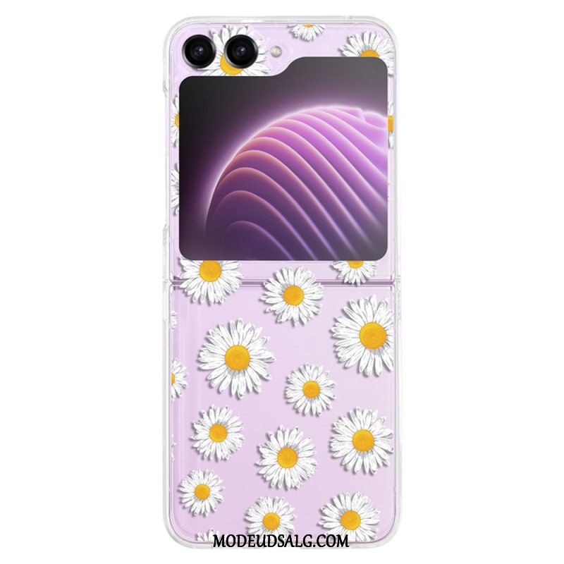 Cover Samsung Galaxy Z Flip 5 Gennemsigtige Grafiske Blomster