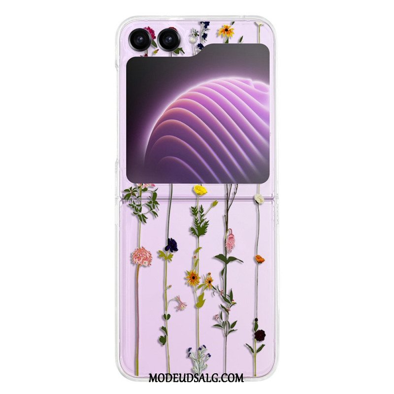 Cover Til Samsung Galaxy Z Flip 5 Gennemsigtige Små Blomster