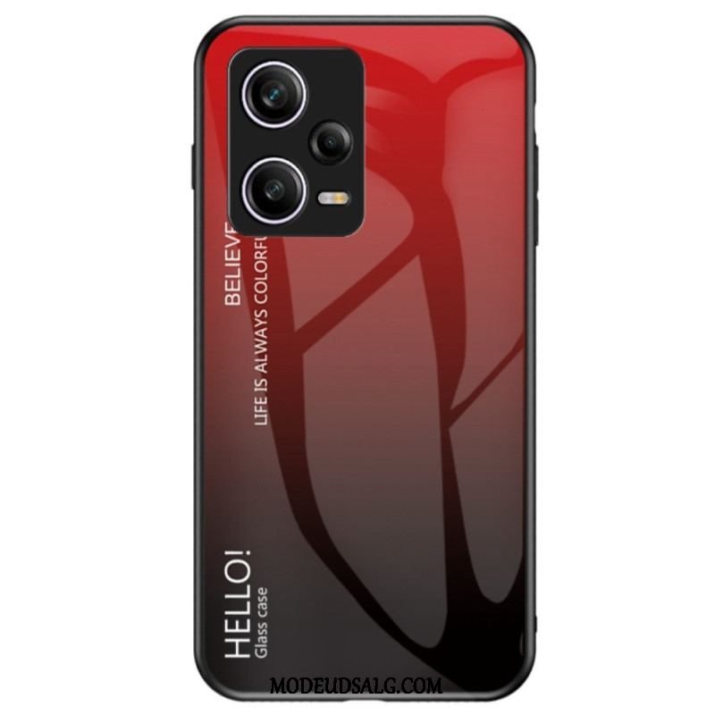 Cover Xiaomi Redmi Note 12 Pro Hærdet Glas Hej