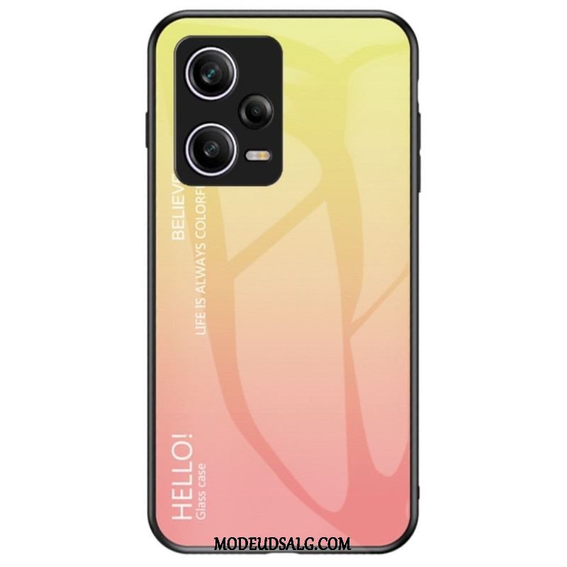 Cover Xiaomi Redmi Note 12 Pro Hærdet Glas Hej