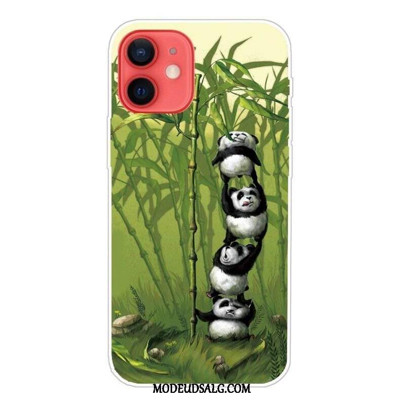 Cover iPhone 13 Mini Flok Pandaer