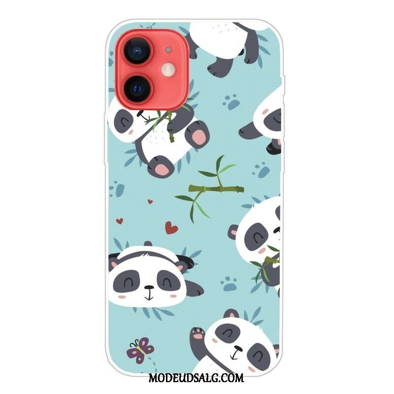 Cover iPhone 13 Mini Flok Pandaer