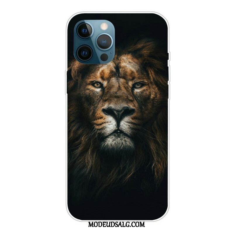 Cover iPhone 13 Pro Fantastisk Feline