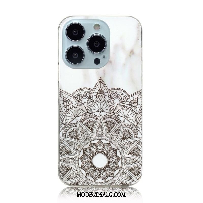 Cover iPhone 13 Pro Marmor Geometrier