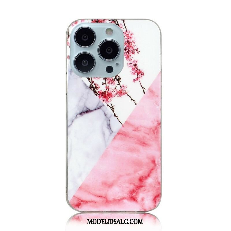 Cover iPhone 13 Pro Marmor Geometrier