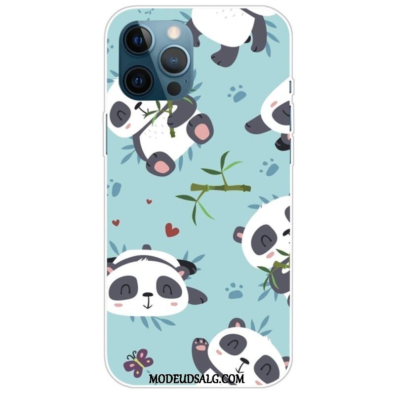 Cover iPhone 14 Pro Flok Pandaer