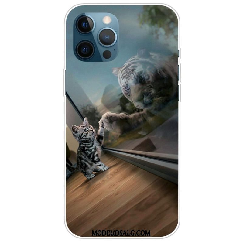 Cover iPhone 14 Pro Kattedyr