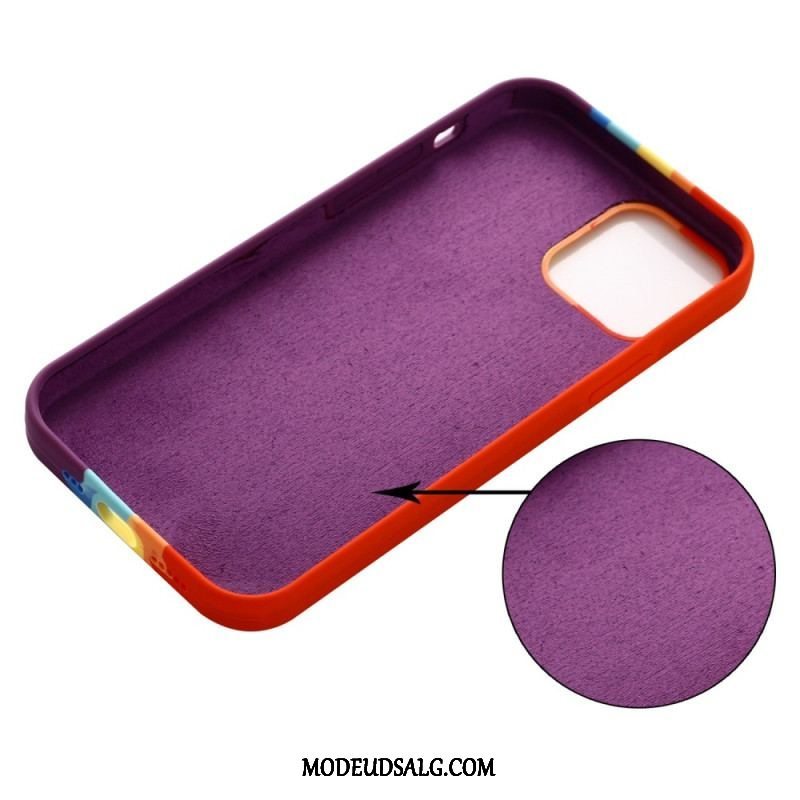 Cover iPhone 14 Pro Max Regnbue