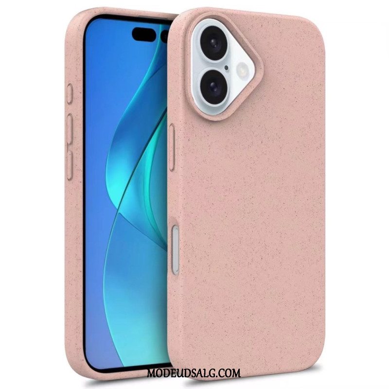 Cover iPhone 16 Hvedehalm