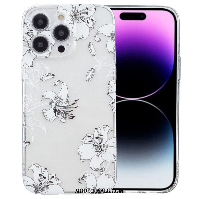 Cover iPhone 16 Pro Forskellige Grunde