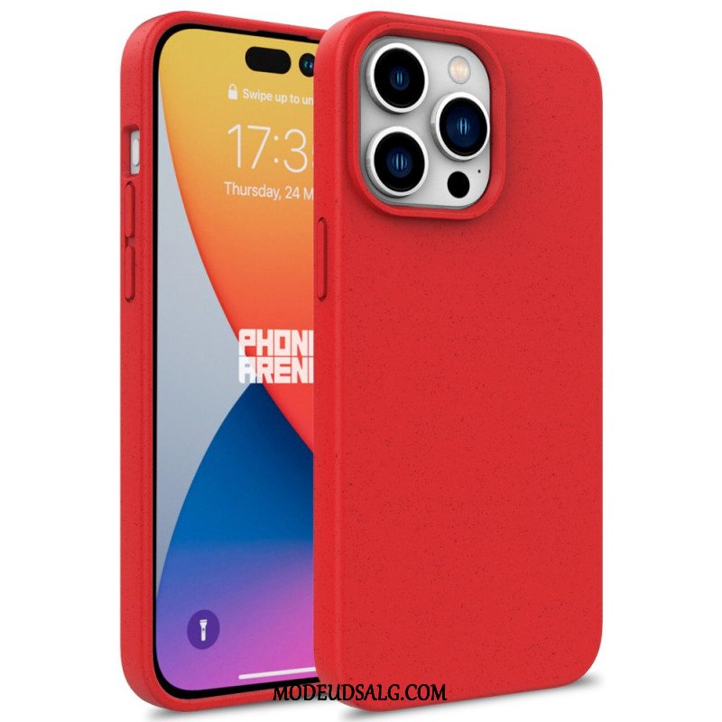 Cover iPhone 16 Pro Hvedehalm