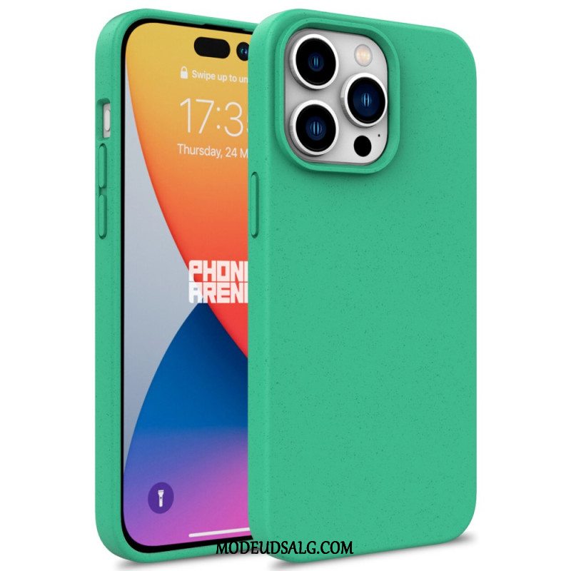 Cover iPhone 16 Pro Hvedehalm