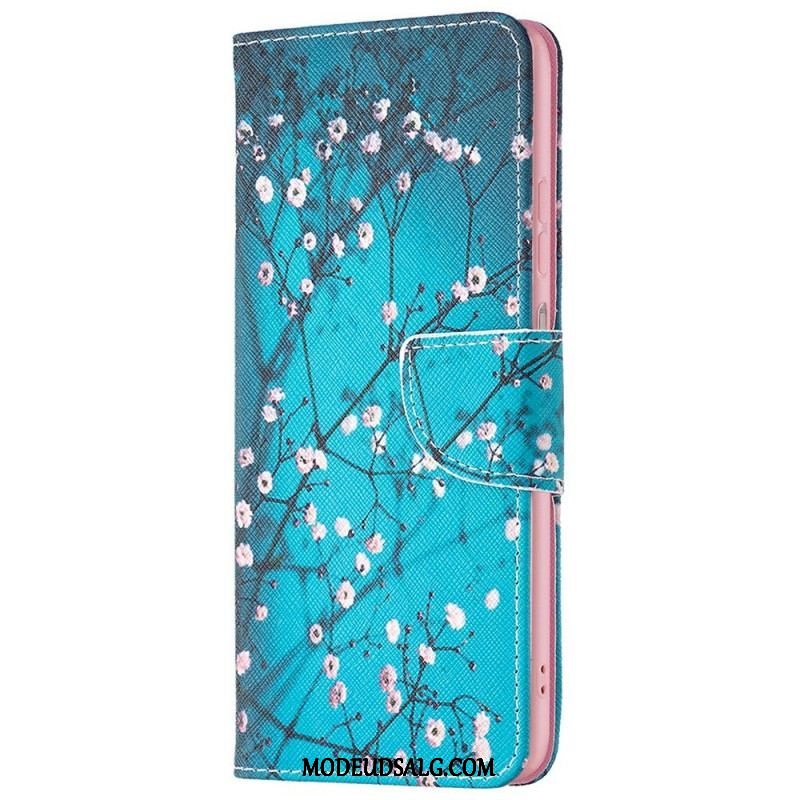 Flip Cover Samsung Galaxy M23 5G Træ Dekoration