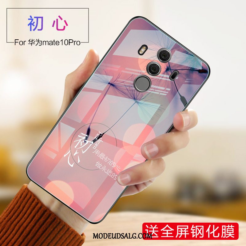 Huawei Mate 10 Pro Etui Silikone Blå Anti-fald Lille Sektion Beskyttelse