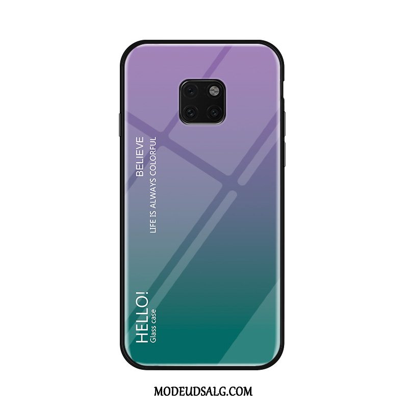 Huawei Mate 20 Pro Etui Blød Simple Glas Rød Trend