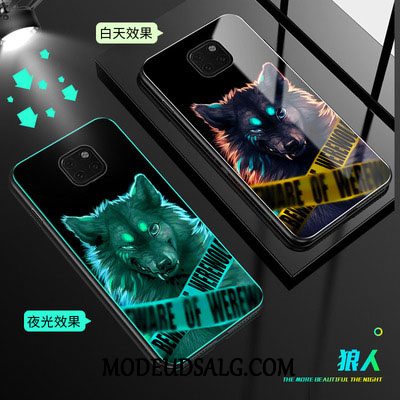 Huawei Mate 20 Pro Etui / Cover Kreativ Glas Lyser Trendy