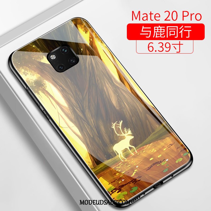 Huawei Mate 20 Pro Etui / Cover Trend Sort Glas Alt Inklusive Anti-fald