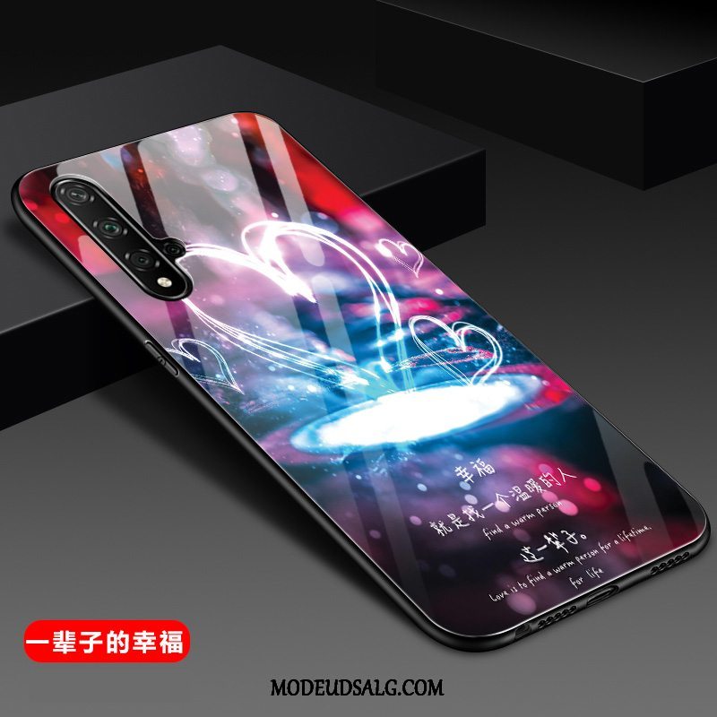 Huawei Nova 5t Etui Anti-fald Af Personlighed Nubuck Spejl Beskyttelse