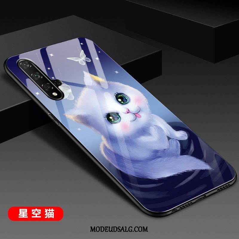 Huawei Nova 5t Etui Anti-fald Af Personlighed Nubuck Spejl Beskyttelse