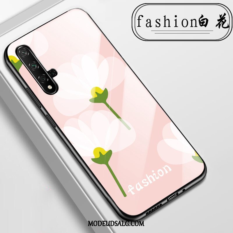 Huawei Nova 5t Etui / Cover Anti-fald Glas Alt Inklusive Lyserød