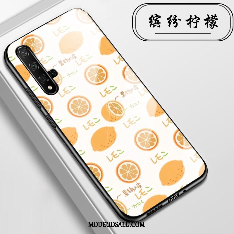 Huawei Nova 5t Etui / Cover Anti-fald Glas Alt Inklusive Lyserød