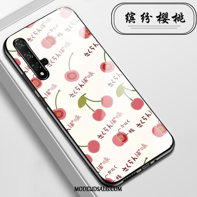 Huawei Nova 5t Etui / Cover Anti-fald Glas Alt Inklusive Lyserød