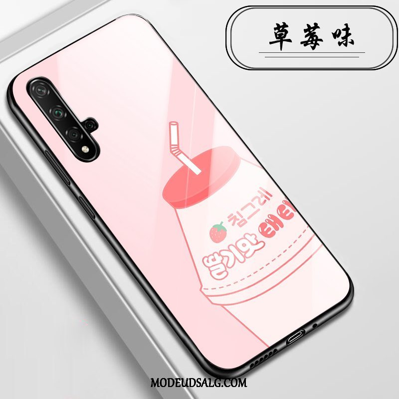 Huawei Nova 5t Etui / Cover Anti-fald Glas Alt Inklusive Lyserød