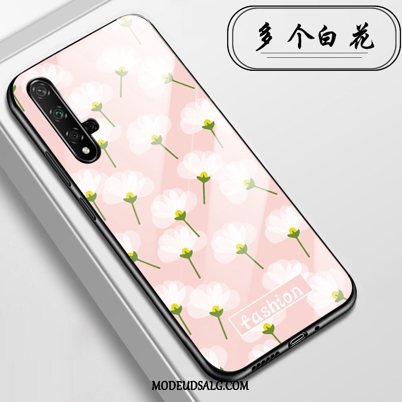 Huawei Nova 5t Etui / Cover Anti-fald Glas Alt Inklusive Lyserød