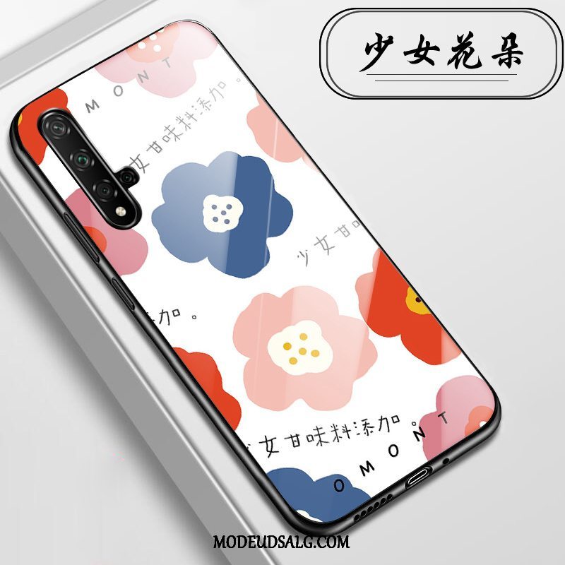 Huawei Nova 5t Etui / Cover Anti-fald Glas Alt Inklusive Lyserød