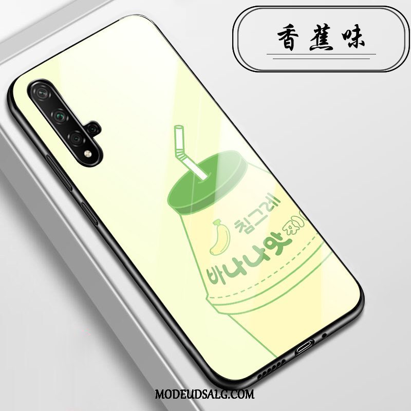 Huawei Nova 5t Etui / Cover Anti-fald Glas Alt Inklusive Lyserød