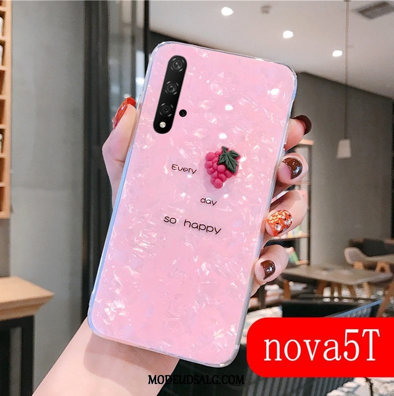 Huawei Nova 5t Etui / Cover Lyserød Trendy Gennemsigtig Net Red Silikone