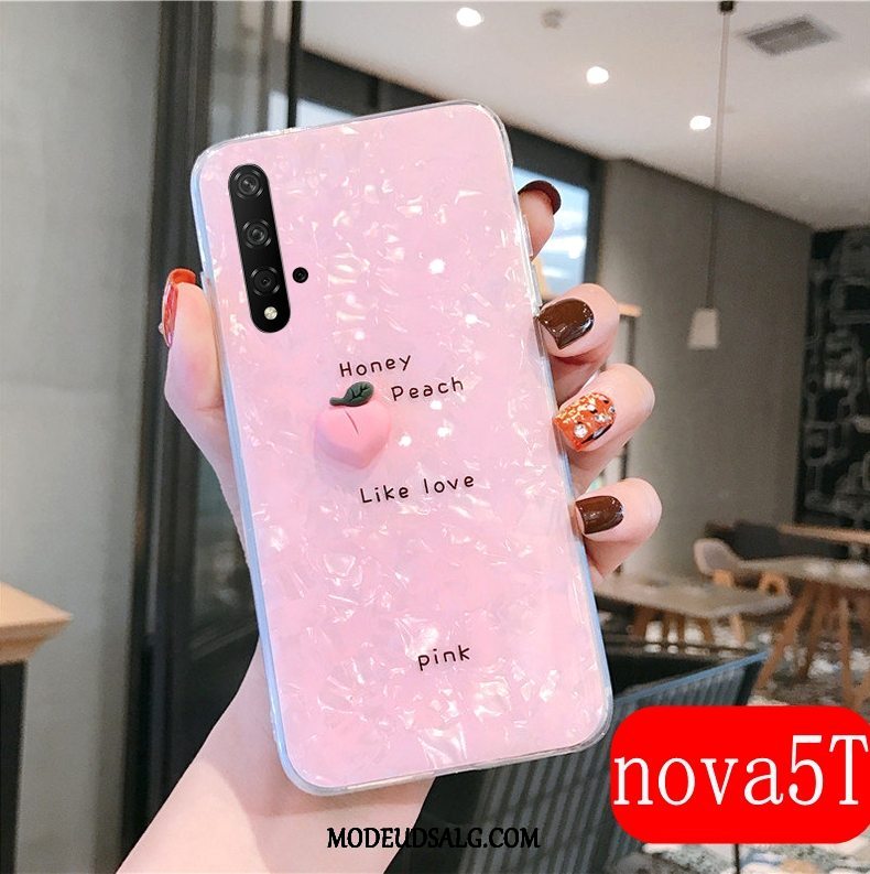 Huawei Nova 5t Etui / Cover Lyserød Trendy Gennemsigtig Net Red Silikone