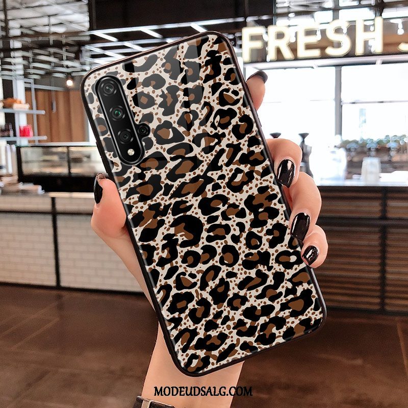 Huawei Nova 5t Etui Sort Beskyttelse Hærdet Glas Leopard Trend