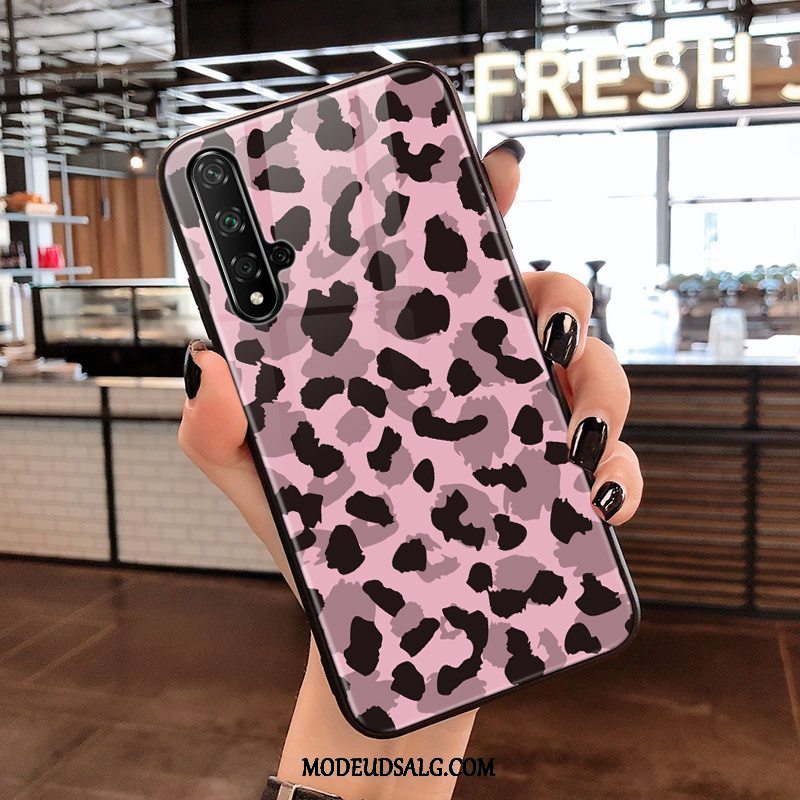 Huawei Nova 5t Etui Sort Beskyttelse Hærdet Glas Leopard Trend