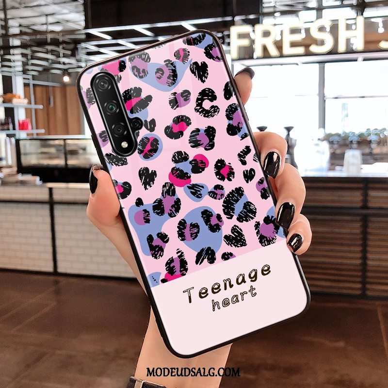 Huawei Nova 5t Etui Sort Beskyttelse Hærdet Glas Leopard Trend