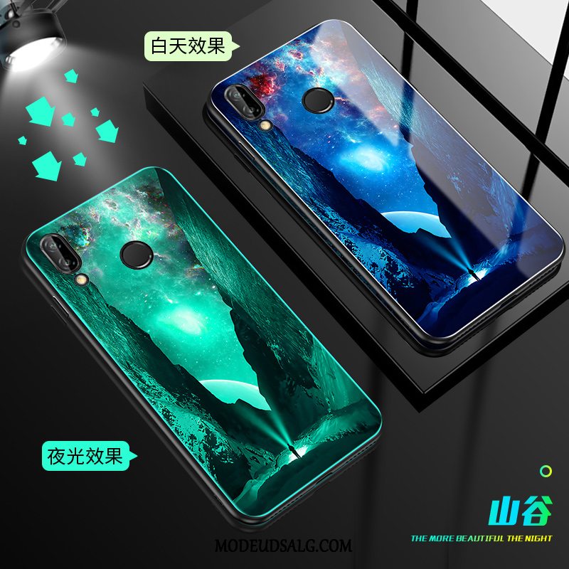 Huawei P Smart+ Etui Lyser Sort Silikone Cover Glas