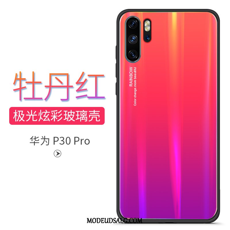 Huawei P30 Pro Etui / Cover Gradient Spejl High End Trendy Ny