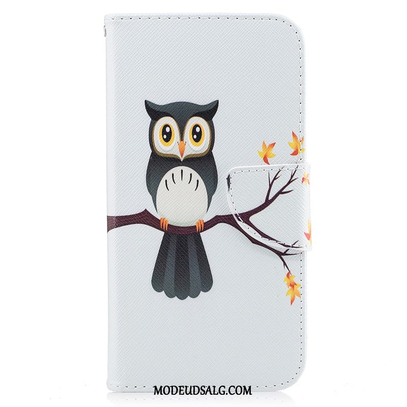 Moto G5s Etui Alt Inklusive Beskyttelse Cartoon Blød Cover