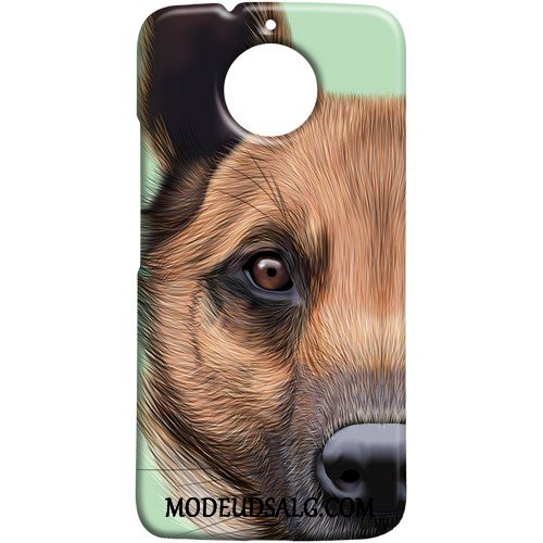 Moto G5s Etui Lille Sektion Cyan Kreativ Hund Kat