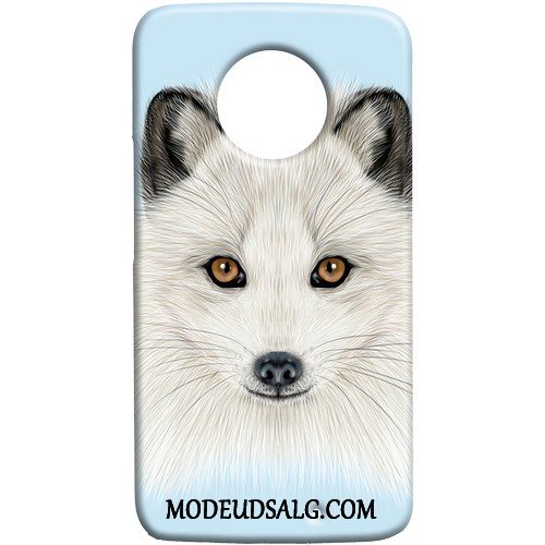 Moto X4 Etui Cover Lille Sektion Nubuck Hund Af Personlighed