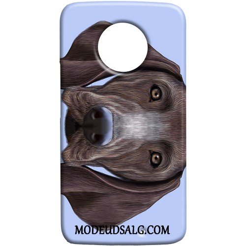 Moto X4 Etui Cover Lille Sektion Nubuck Hund Af Personlighed