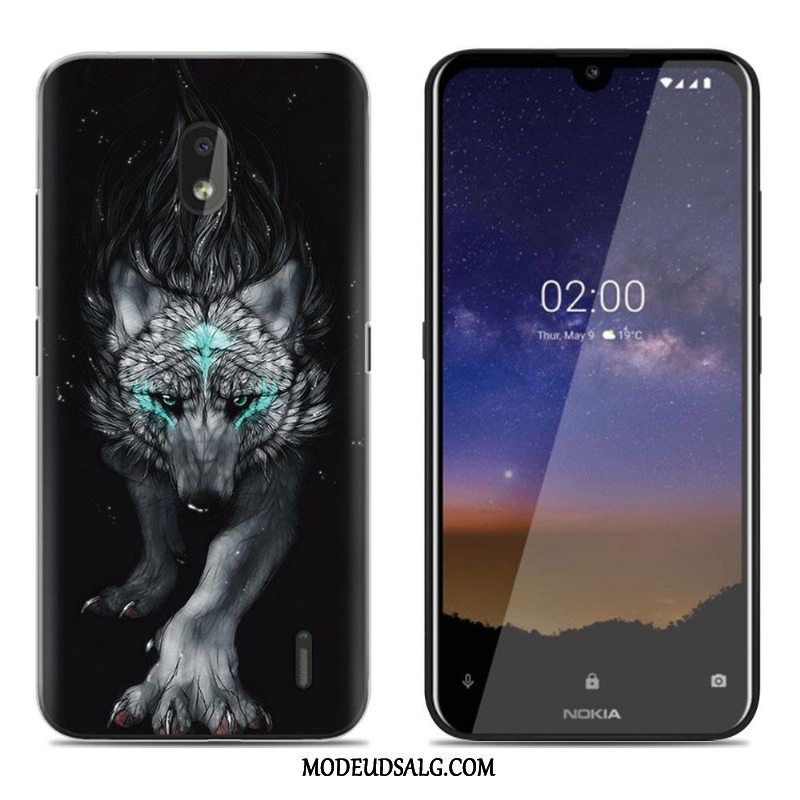 Nokia 2.2 Etui / Cover Blød Malet Salg Farve Trend