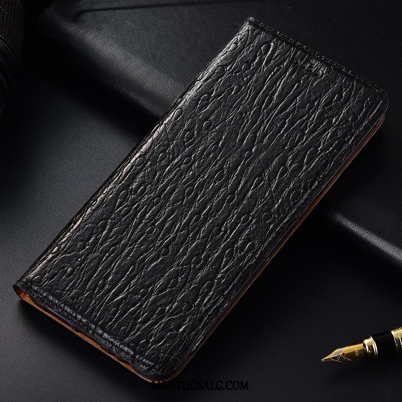 Nokia 5.1 Plus Etui Beskyttelse Anti-fald Alt Inklusive Fugl Cover