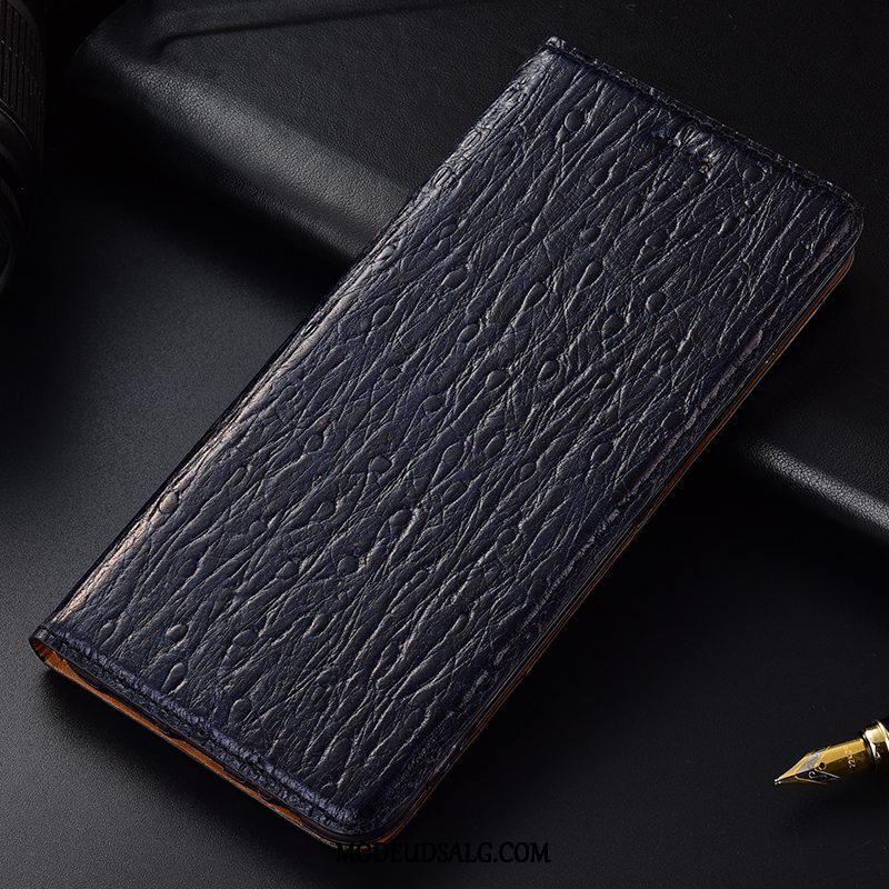 Nokia 5.1 Plus Etui Beskyttelse Anti-fald Alt Inklusive Fugl Cover