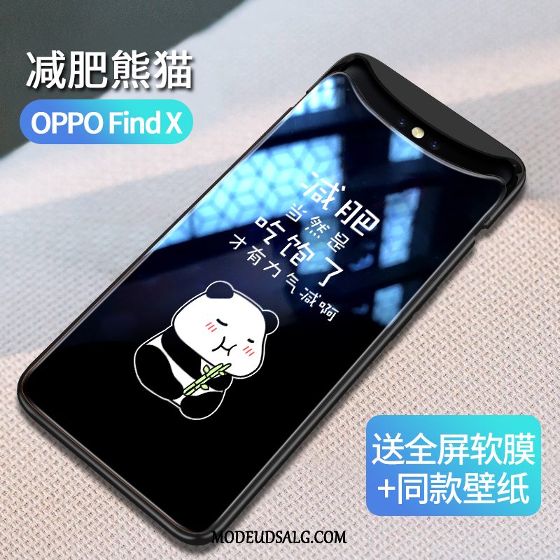 Oppo Find X Etui Kreativ Ny Af Personlighed Glas Vind