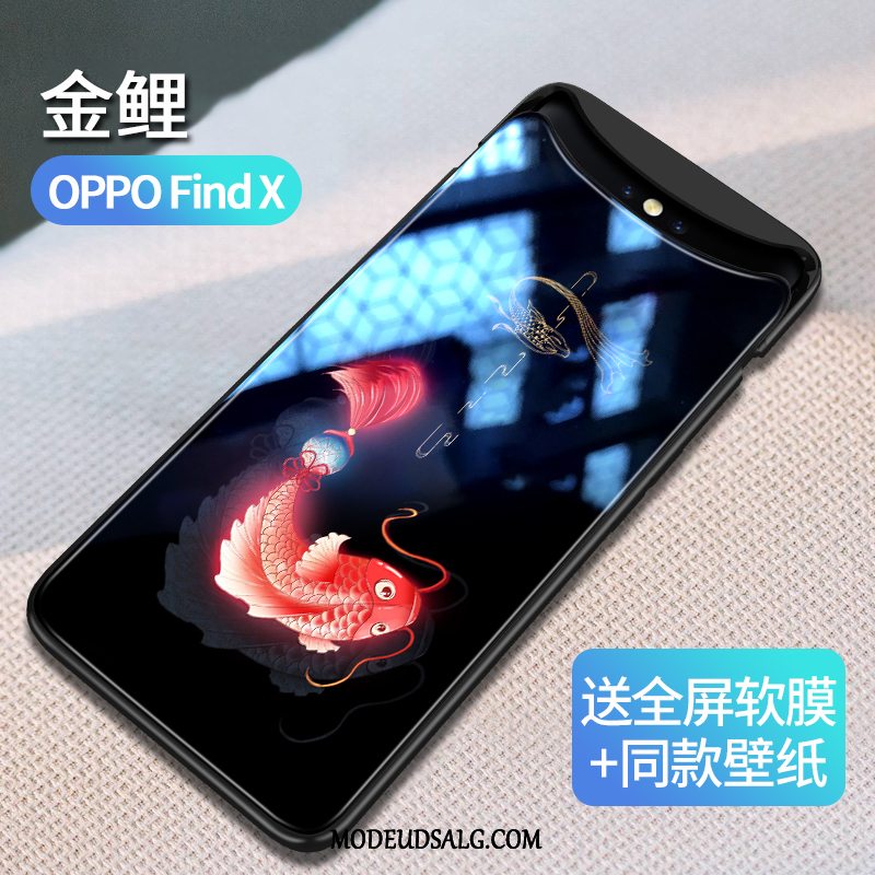 Oppo Find X Etui Kreativ Ny Af Personlighed Glas Vind