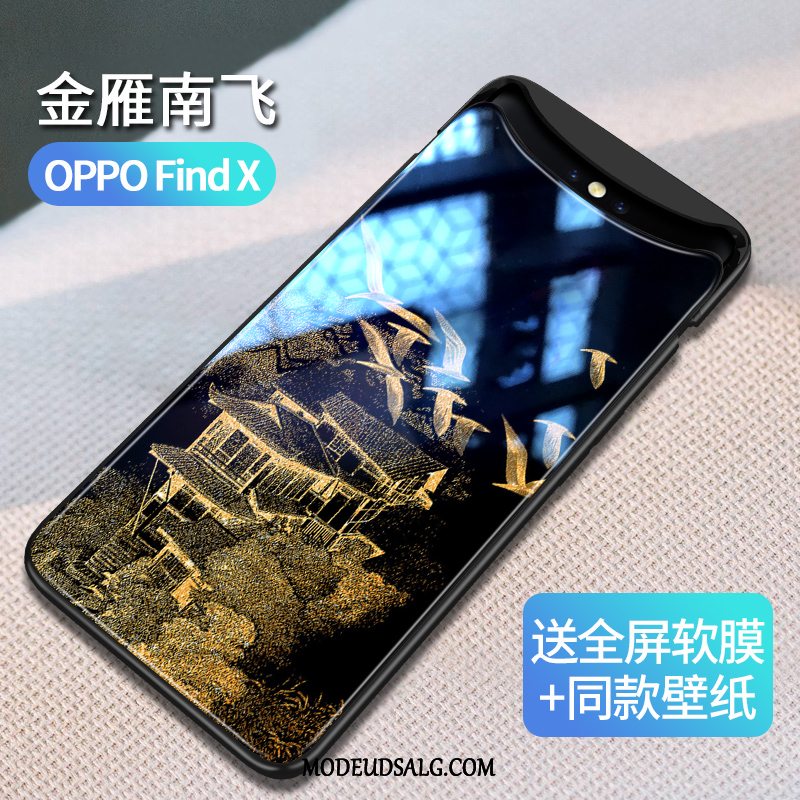 Oppo Find X Etui Kreativ Ny Af Personlighed Glas Vind