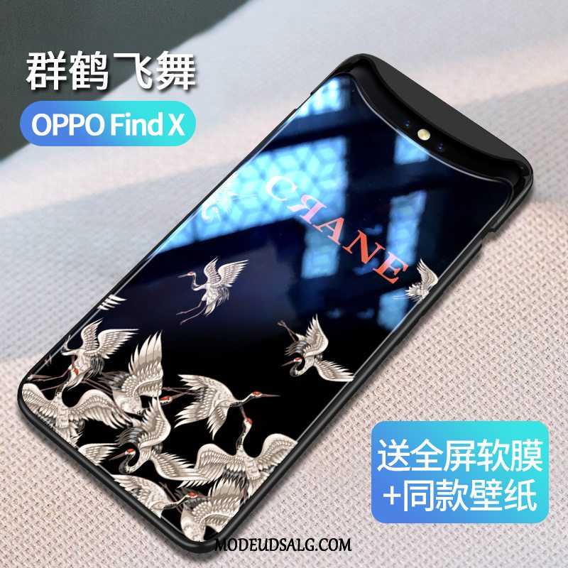 Oppo Find X Etui Kreativ Ny Af Personlighed Glas Vind